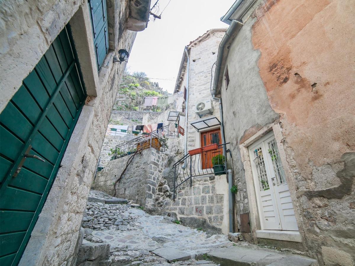 Apartment Alexandra Kotor Exterior foto